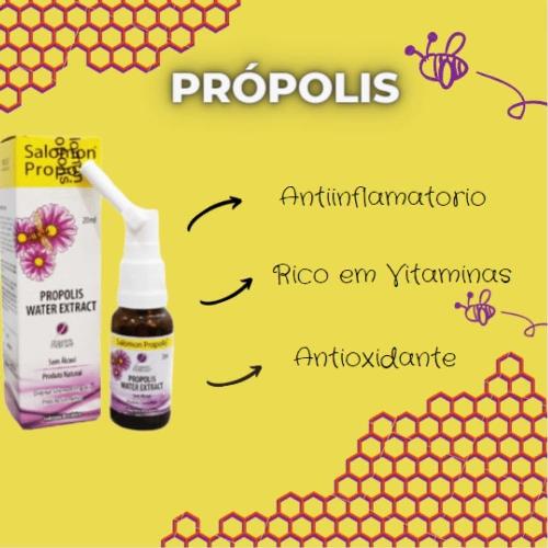 Salomon Própolis Nasal 20ml