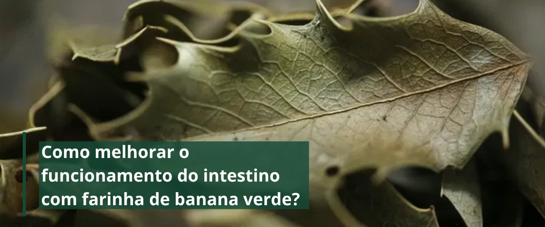 Espinheira Santa e os seus benefícios