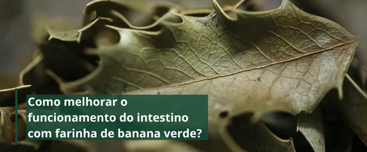 Espinheira Santa e os seus benefícios