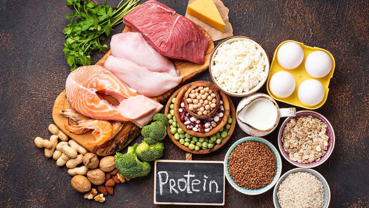 Seleção variada de alimentos ricos em proteína.