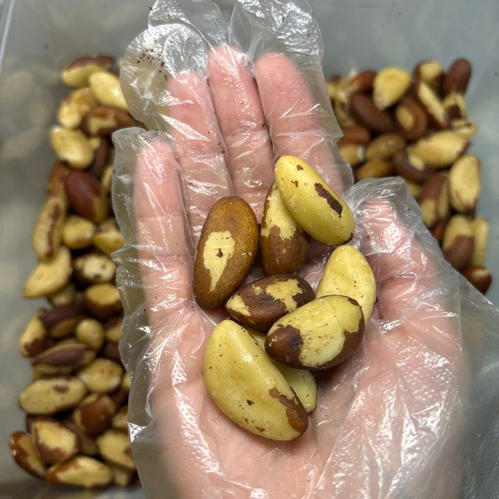 Castanha do Pará Média 100g Emporio Aurea