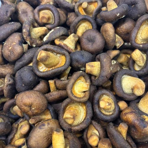 Chips de Shitake 100g Emporio Aurea