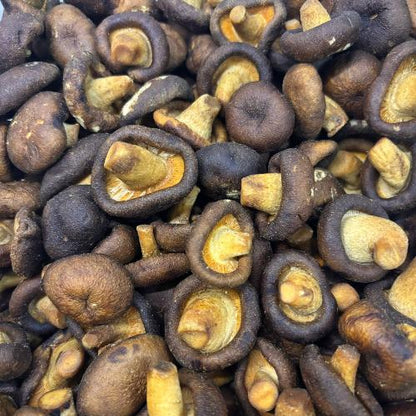 Chips de Shitake 100g Emporio Aurea