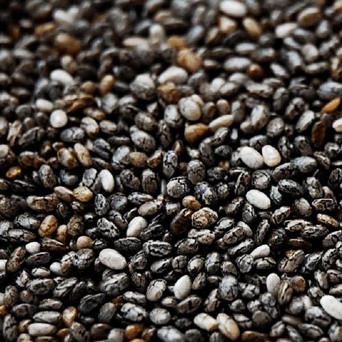 Semente de Chia 100g Emporio Aurea