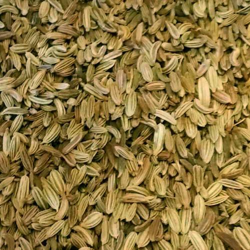 Erva Doce Síria 50g Terra vitta ervas e chas