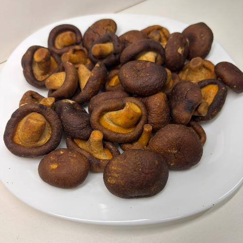 Chips de Shitake 100g Emporio Aurea
