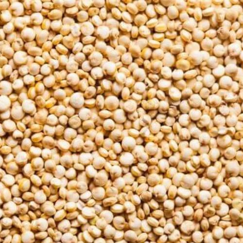 Quinoa em Grãos 100g