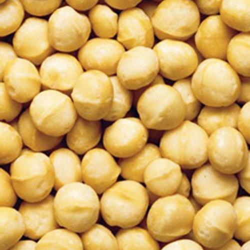 Macadâmia sem Sal 100g