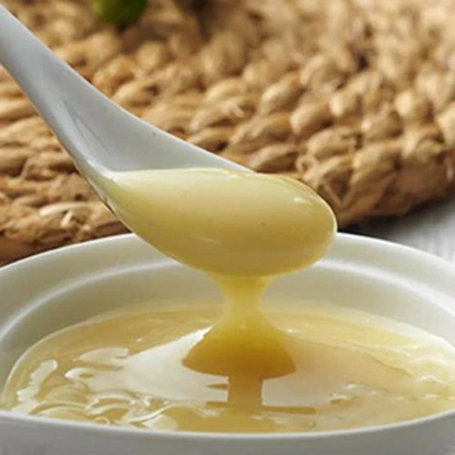 Geleia Real 15g Apilife