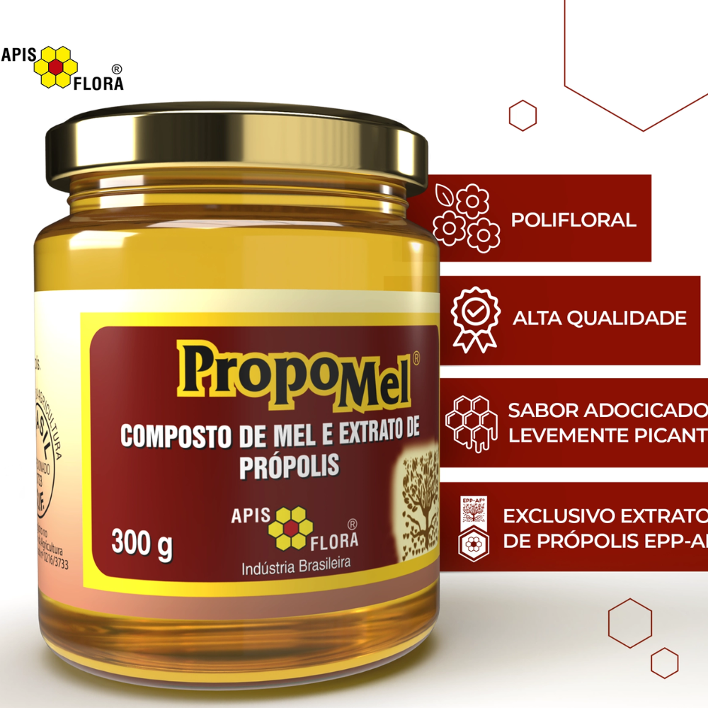 Propomel Mel com Própolis 300g Apis Flora Apis Flora