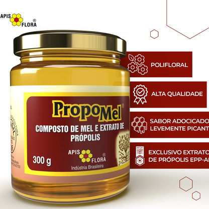 Propomel Mel com Própolis 300g Apis Flora Apis Flora